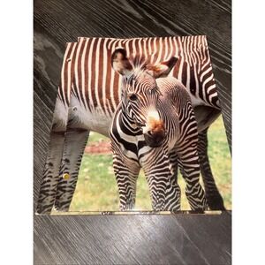 Vintage Wild Animal Collection Folders Universal Litho Duo Lot Of 2 Zibra
